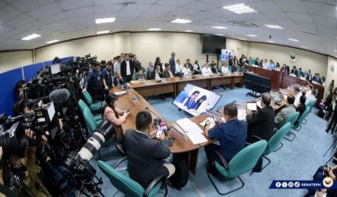 SENATE HEARING