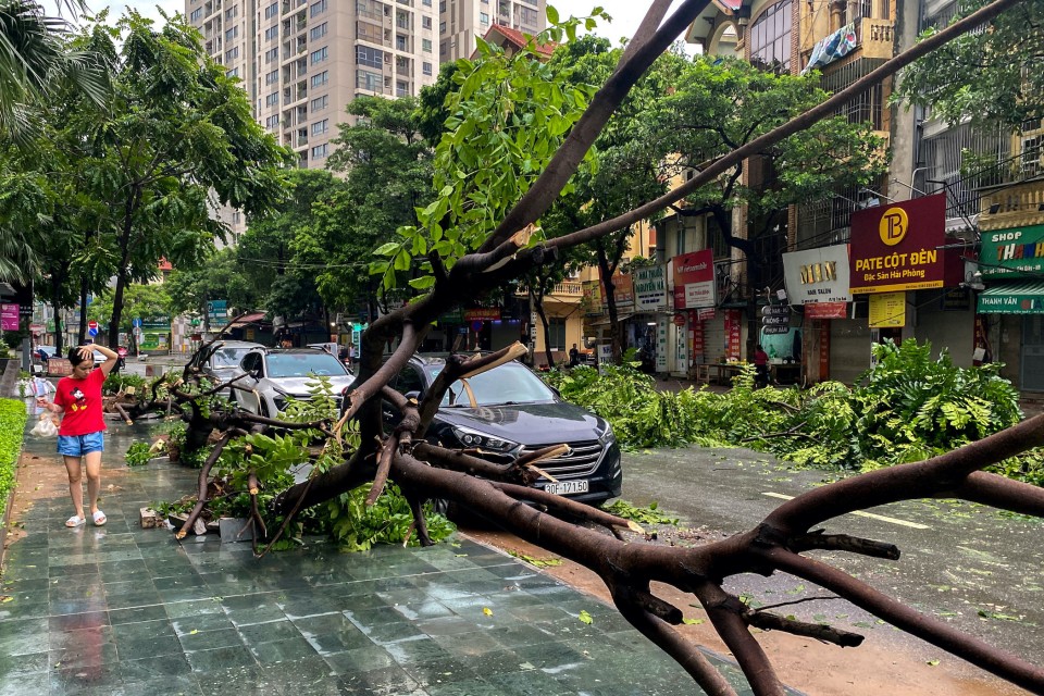 Yagi devastates vietnam