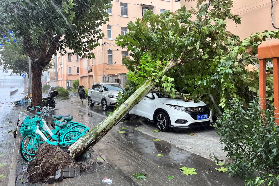 TYPHOON BEBINCA