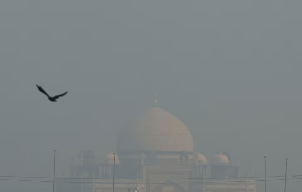 Labing-anim na mga magsasaka inaresto dahil sa pagsunog ng crop waste