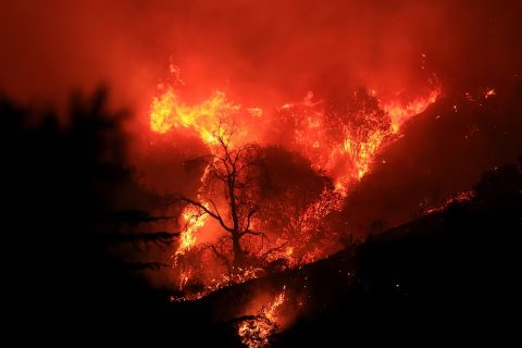 CALIFORNIA WILDFIRE