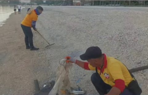 DOLOMITE BEACH CLEAN UP