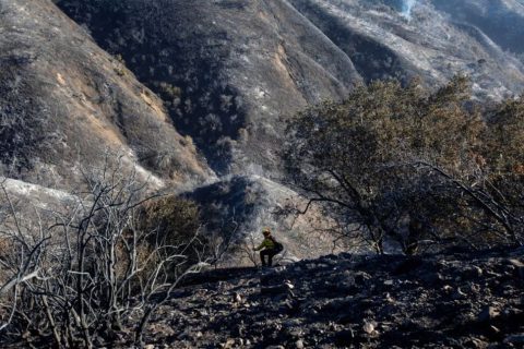 LA WILDFIRE